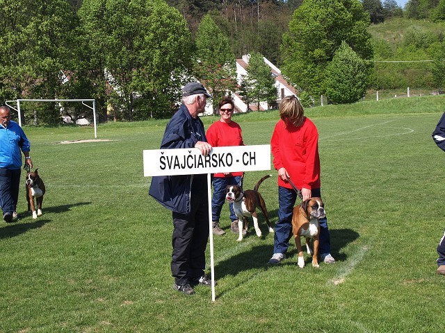 www.atibox.net * www.euroboxer.eu * www.boxergenealogia.eu